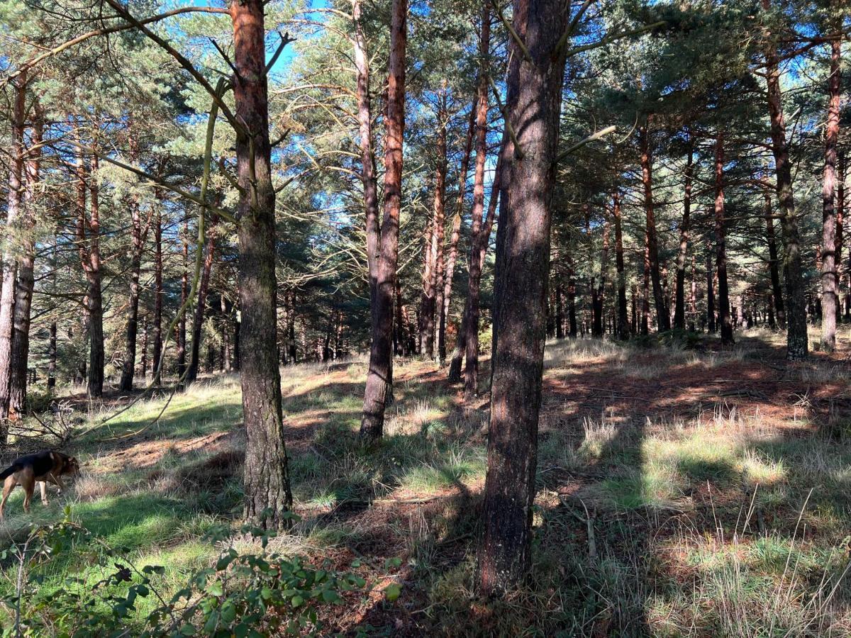 El Pecu Casa Rural Starfamiliar Bustillo Del Paramo ภายนอก รูปภาพ