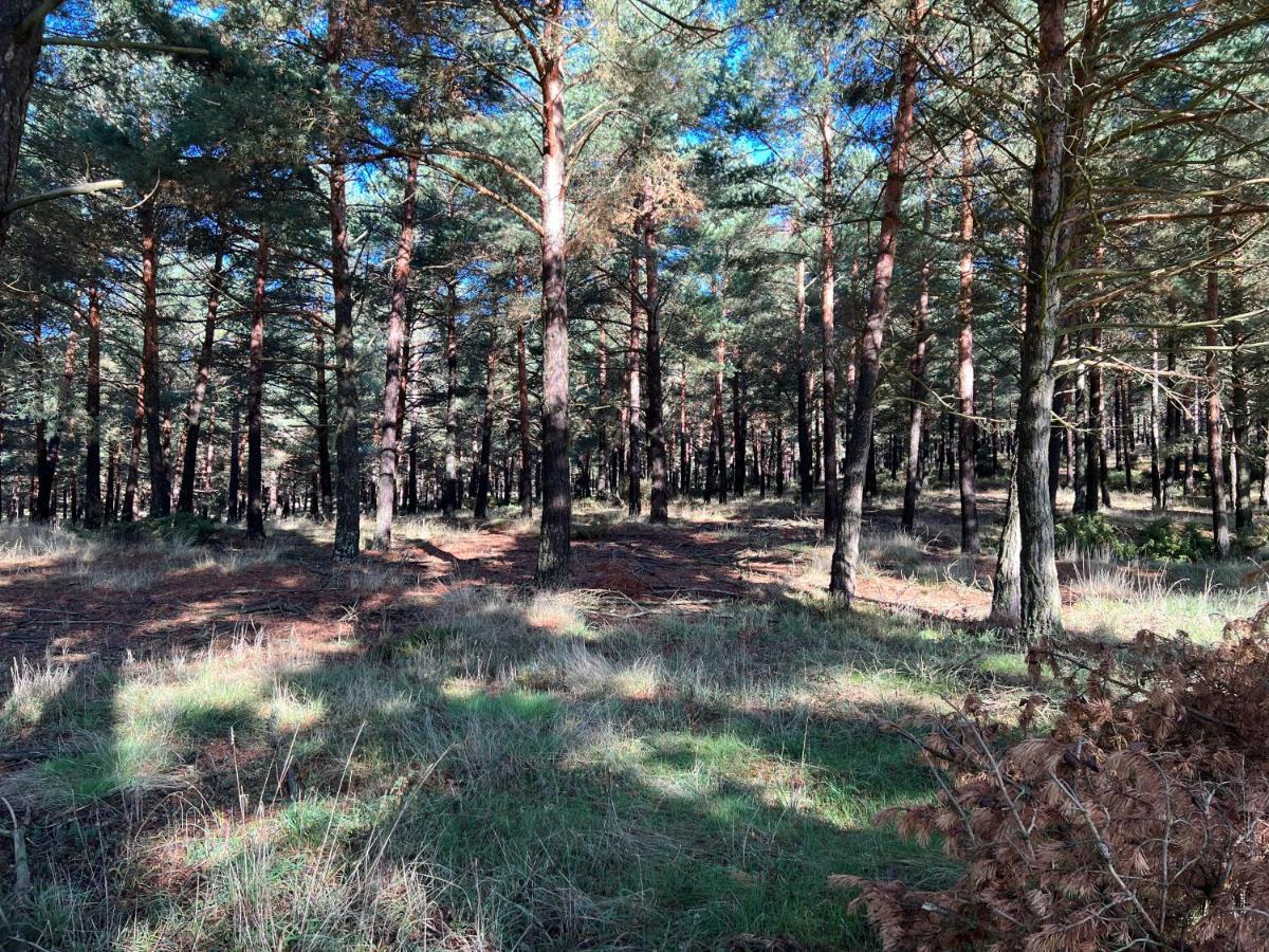 El Pecu Casa Rural Starfamiliar Bustillo Del Paramo ภายนอก รูปภาพ