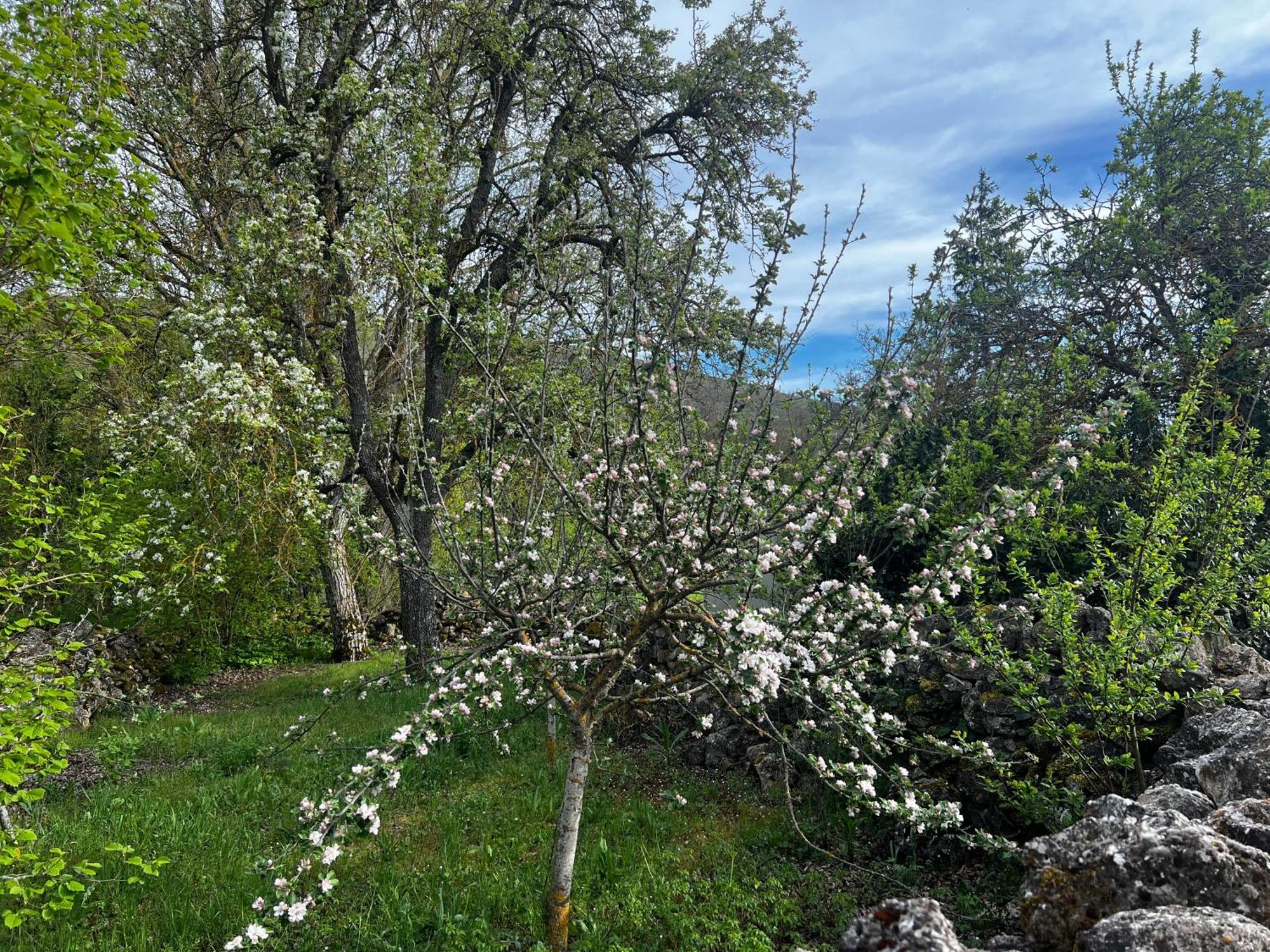 El Pecu Casa Rural Starfamiliar Bustillo Del Paramo ภายนอก รูปภาพ